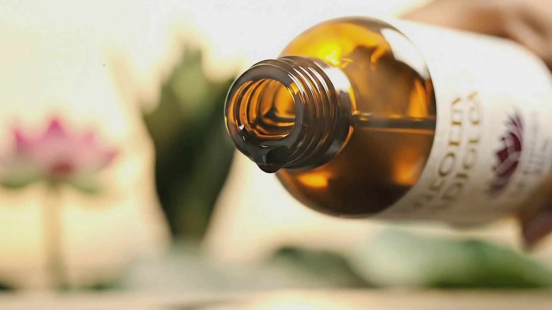 動画を読み込む: 